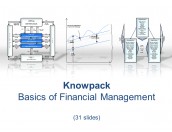 Basics of Financial Management - 31 diagram in PDF